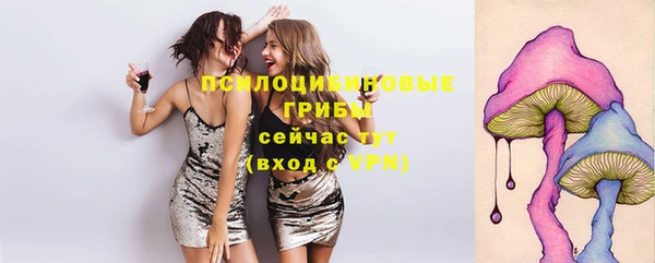 гидропоника Кодинск