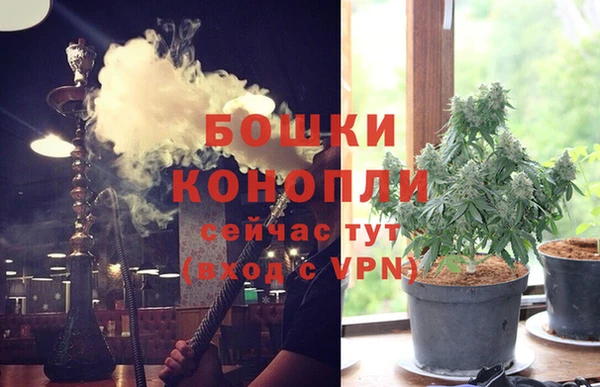 мдпв Козловка