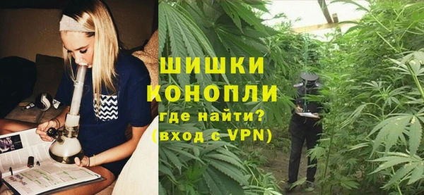 мдпв Козловка