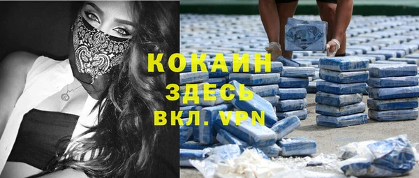 мдпв Козловка