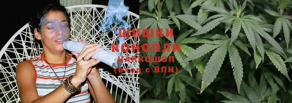 мдпв Козловка