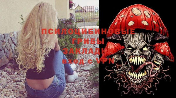 гидропоника Кодинск