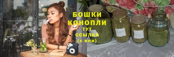 гидропоника Кодинск