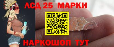 амф Жуковский