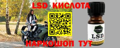 бошки Бийск