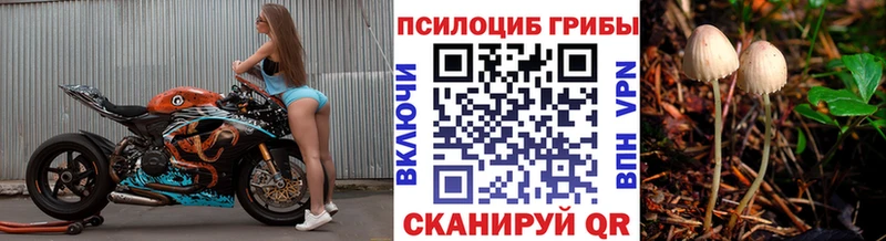 blacksprut зеркало  Долгопрудный  Псилоцибиновые грибы GOLDEN TEACHER  где можно купить  