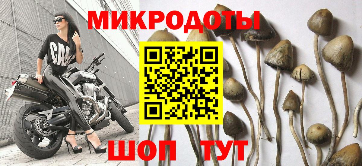 Галлюциногенные грибы мухоморы  Псилоцибиновые грибы Cubensis  Долгопрудный  Вход с VPN 