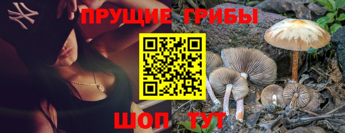 Псилоцибиновые грибы Magic Shrooms  Галлюциногенные грибы Psilocybine cubensis  Долгопрудный 