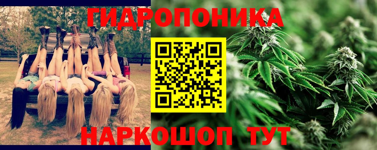 Бошки Шишки ГИДРОПОН Долгопрудный